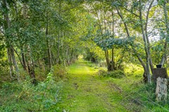 Lietsweg 6, 9364 TB Nuis - Lietsweg 6_14.jpg